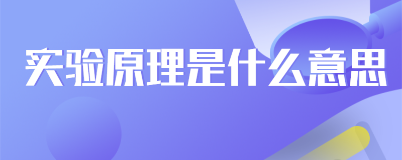 实验原理是什么意思