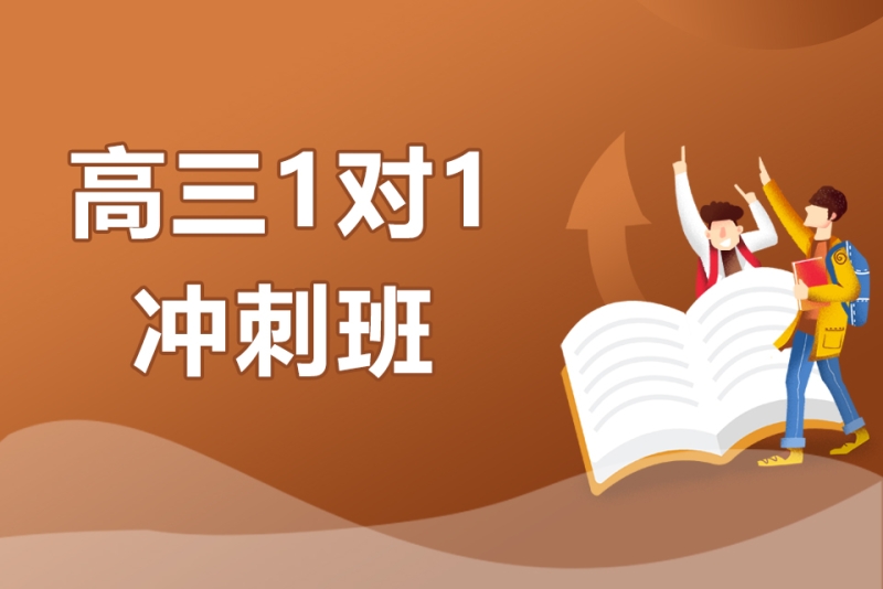 高三1对1冲刺班