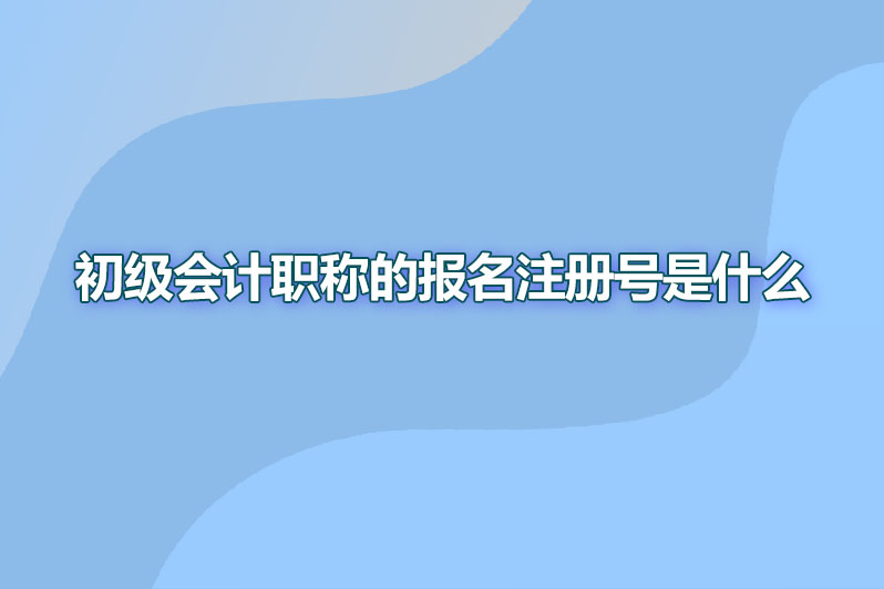 初级会计职称的报名注册号是什么