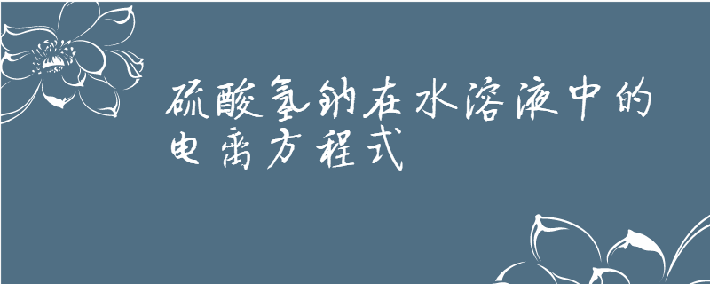 硫酸氫鈉在水溶液中的電離方程式