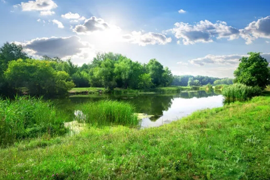 普通话测试对环境保护的认识