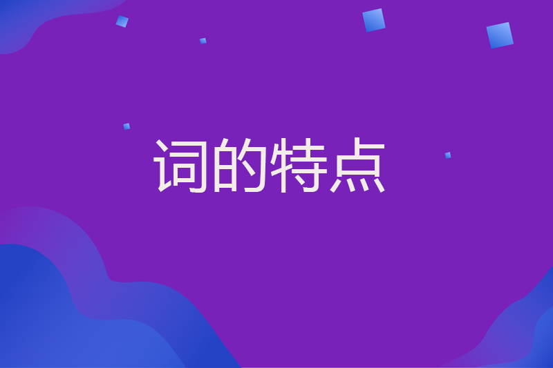 词的特点