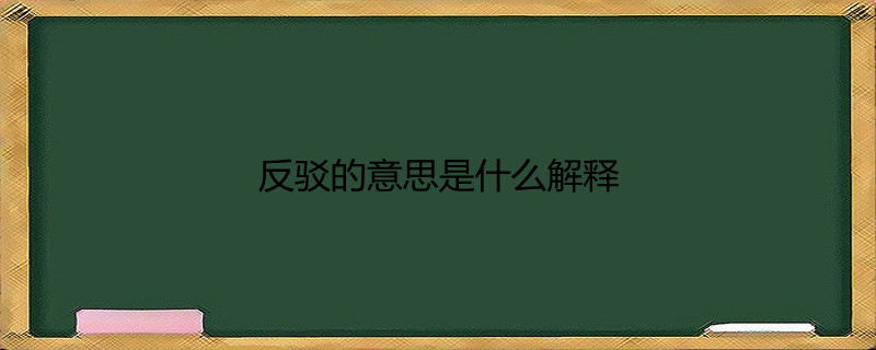 反驳的意思是什么解释