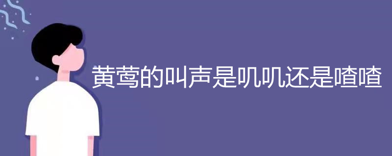 黄莺的叫声是叽叽还是喳喳