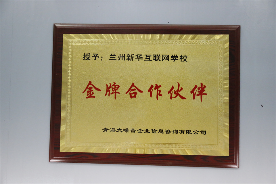 青海大噪音企业信息有限公司颁发:金牌合作伙伴