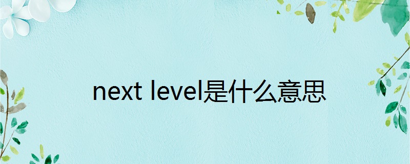 next level是什么意思