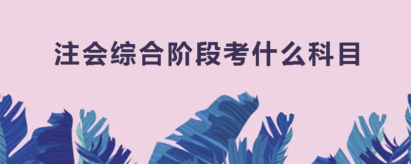 注会综合阶段考什么科目