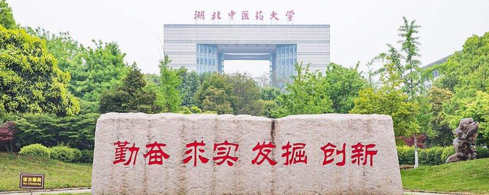 湖北中医药大学