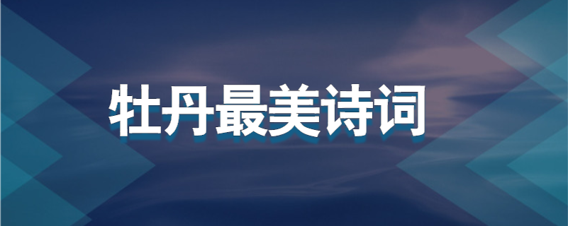 牡丹最美诗词