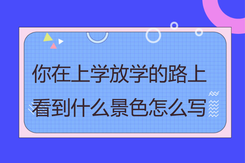你在上学放学的路上看到什么景色怎么写