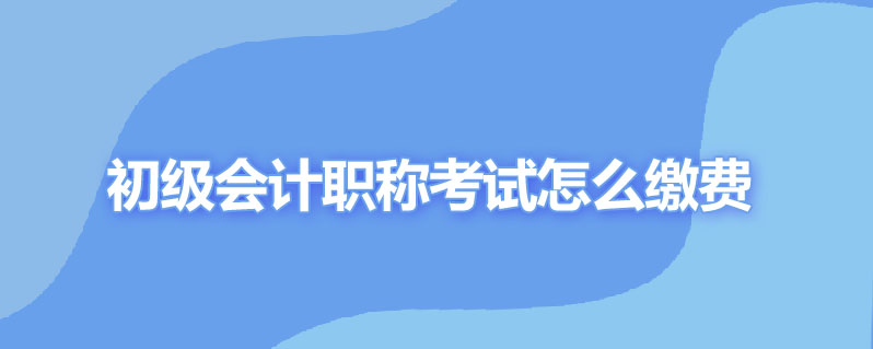 初级会计职称考试怎么缴费