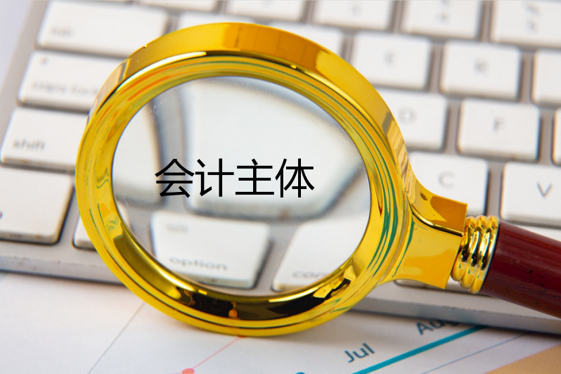 2015年审计师考试《专业相关知识》:会计主体