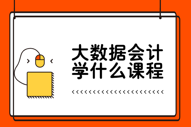 大数据会计学什么课程