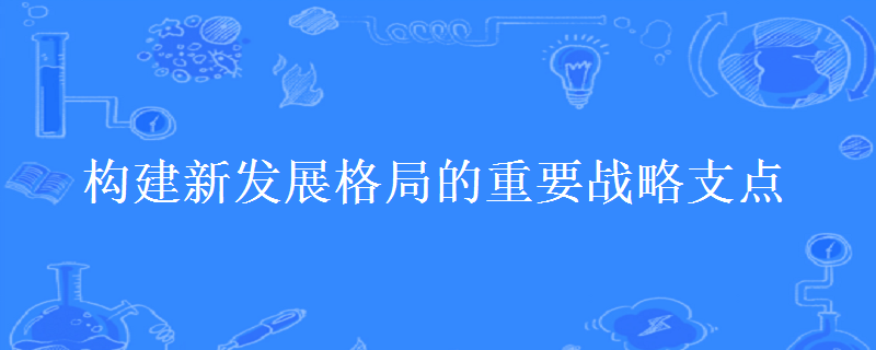 构建新发展格局的重要战略支点有