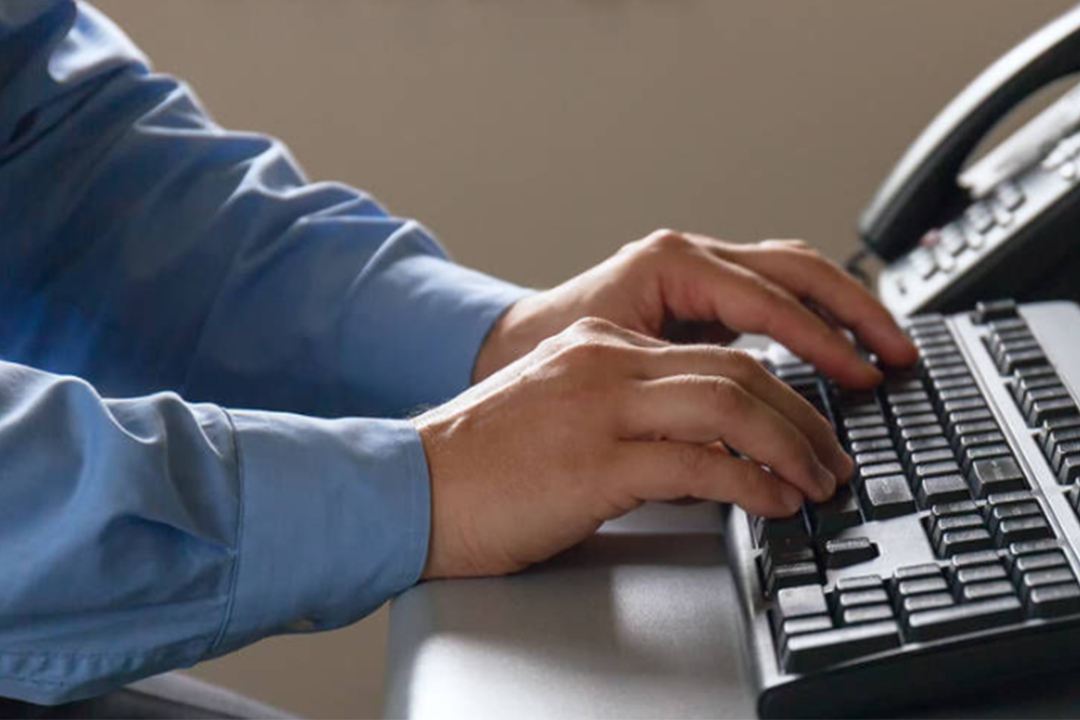 编程主要学什么