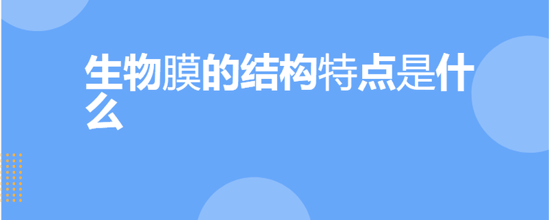 生物膜的结构特点是什么