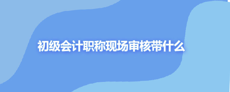 初级会计职称现场审核带什么