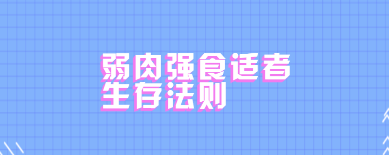 弱肉强食适者生存法则