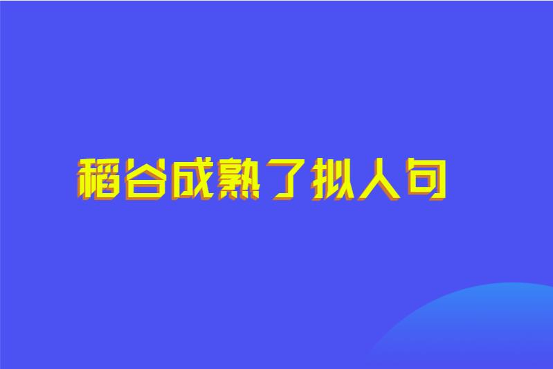 稻谷成熟了拟人句