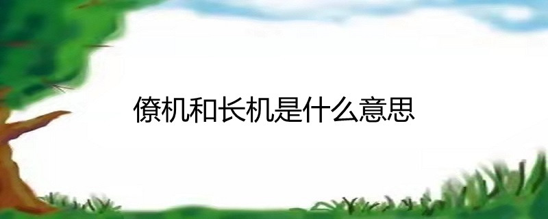 僚机和长机是什么意思