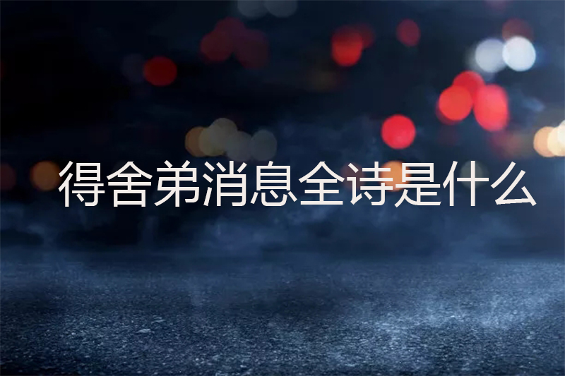 得舍弟消息全诗是什么