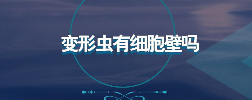 变形虫有细胞壁吗