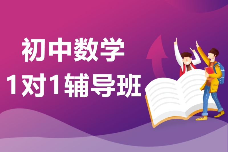 初中数学1对1辅导班