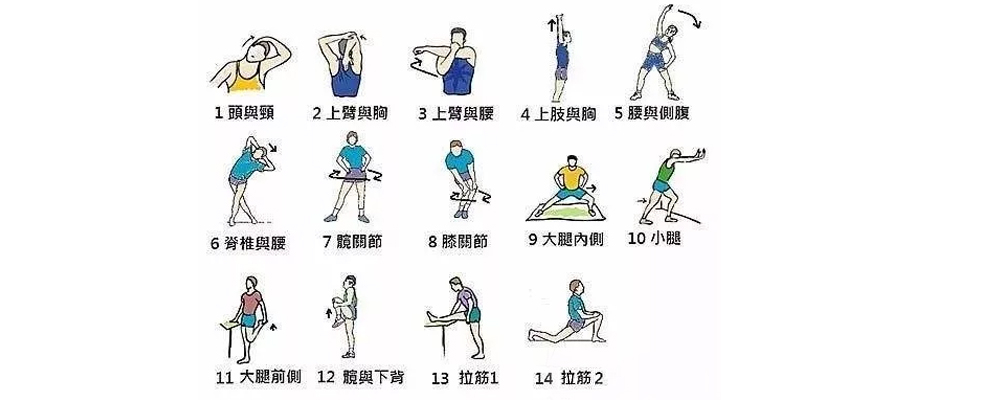 模特8大基本训练方法