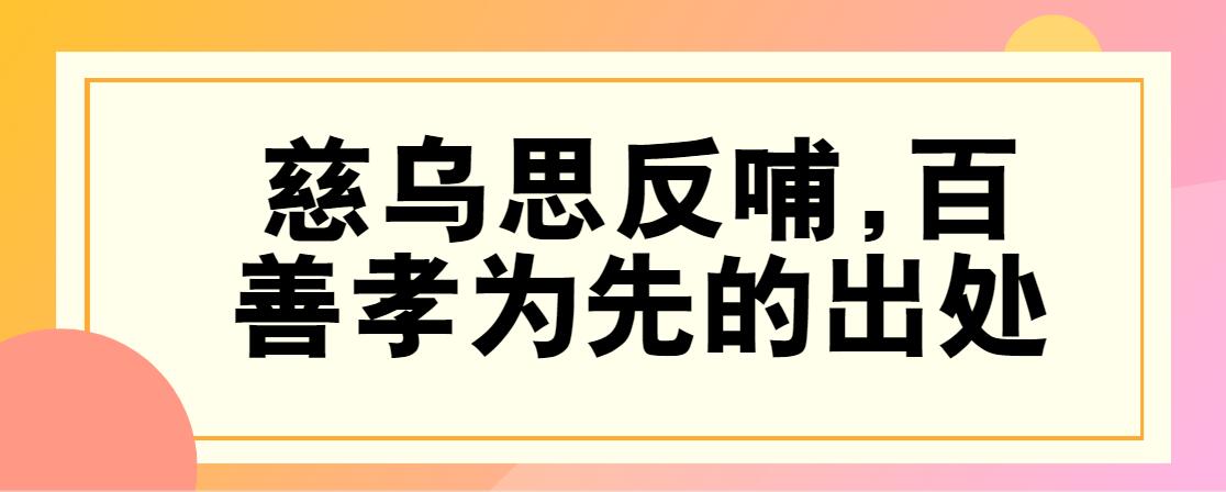 关于孝的名言_名言孝道_名言孝顺