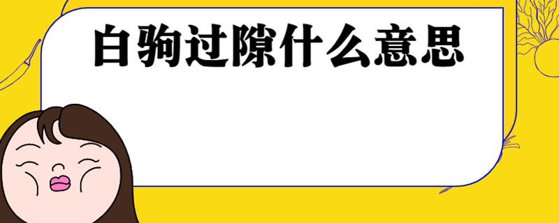 白驹过隙什么意思