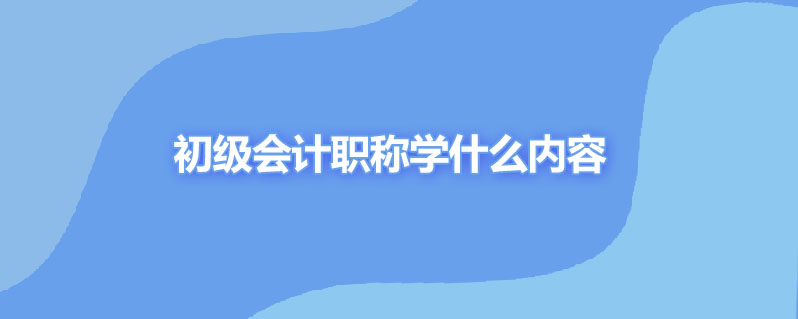 初级会计职称学什么内容