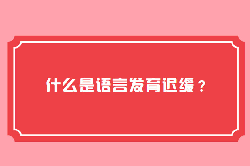 什么是语言发育迟缓?