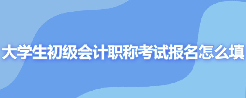 大学生初级会计职称考试报名怎么填