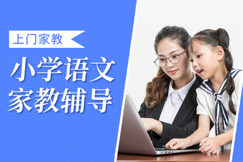 小学语文家教辅导
