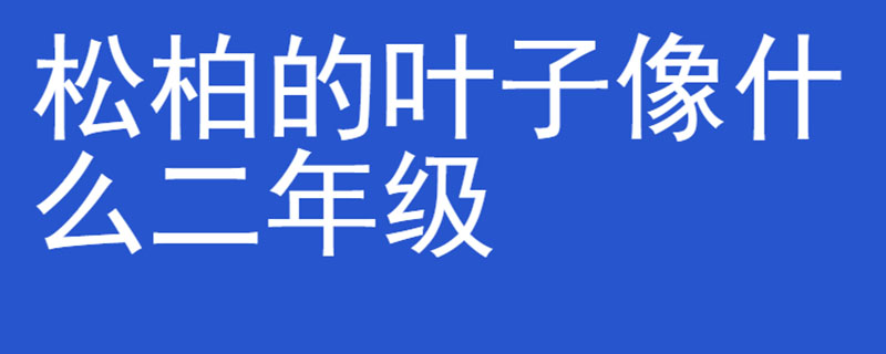 松柏的叶子像什么二年级