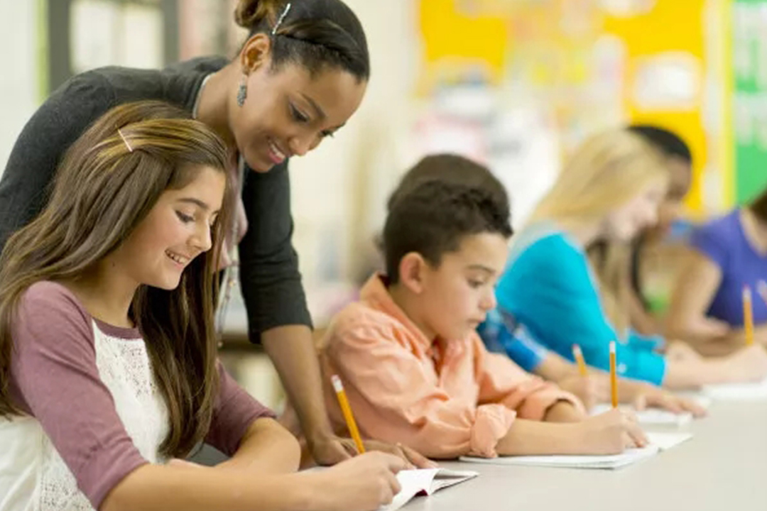 教资最高学历层次怎么填写