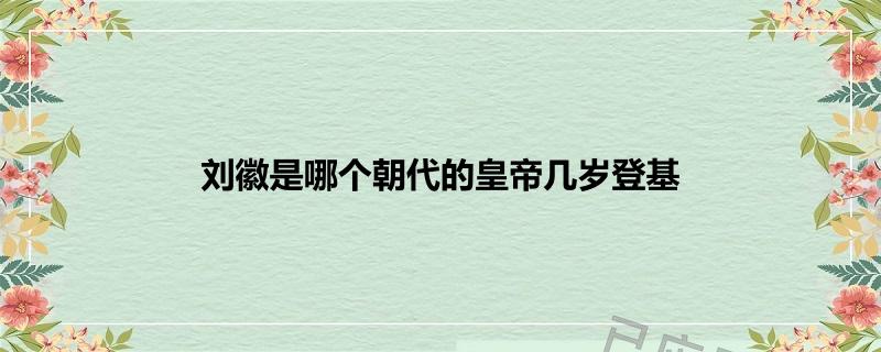 刘徽是哪个朝代的皇帝几岁登基