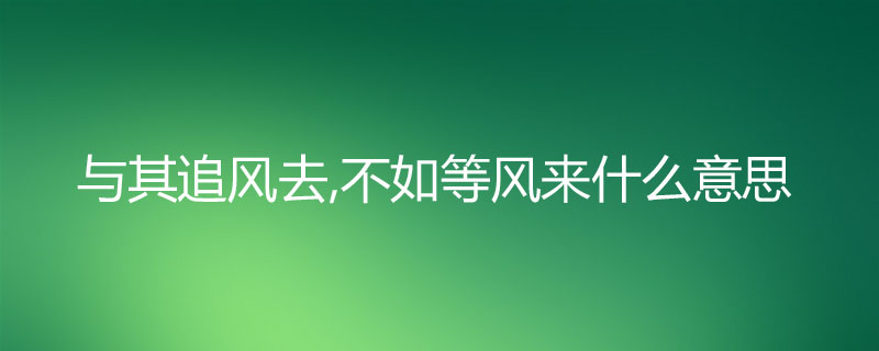 与其追风去,不如等风来什么意思