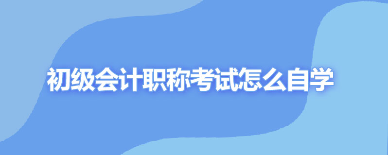 初级会计职称考试怎么自学