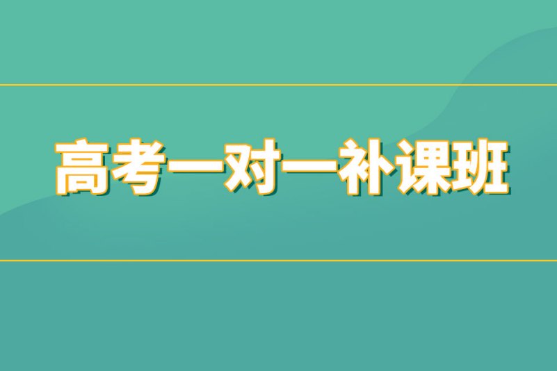 高考一对一补课班