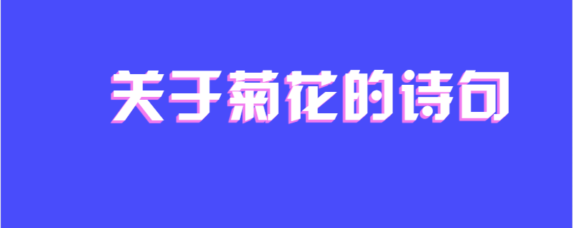 关于菊花的诗句