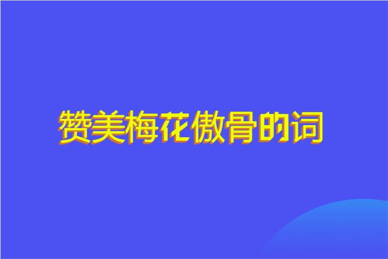 赞美梅花傲骨的词