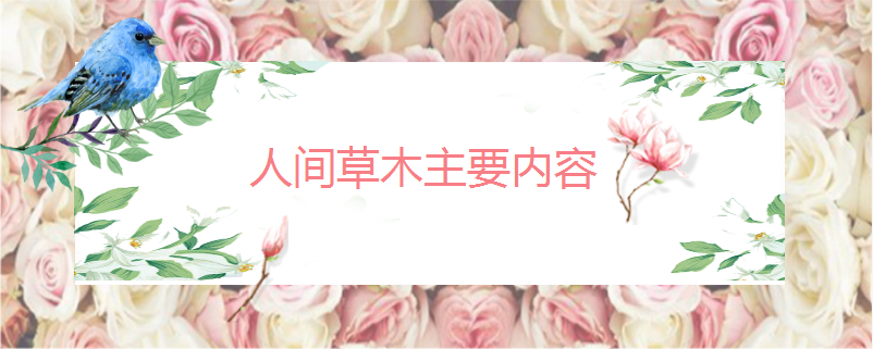 人间草木主要内容