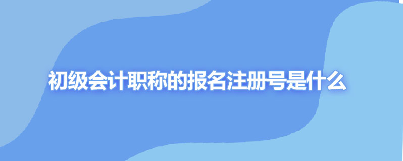 初级会计职称的报名注册号是什么