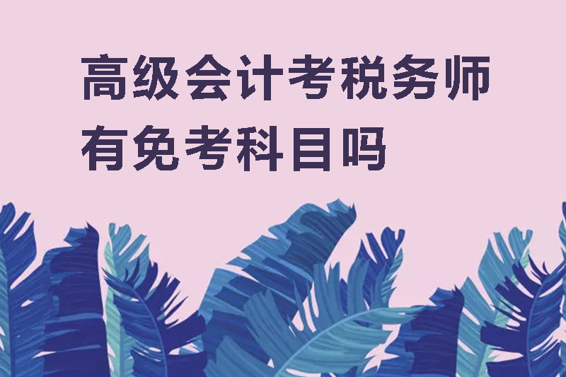 高级会计考税务师有免考科目吗