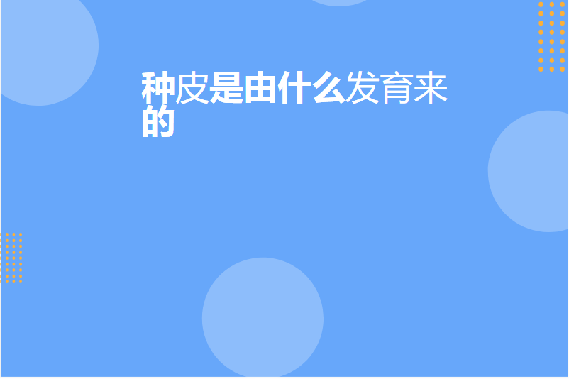 种皮是由什么发育来的