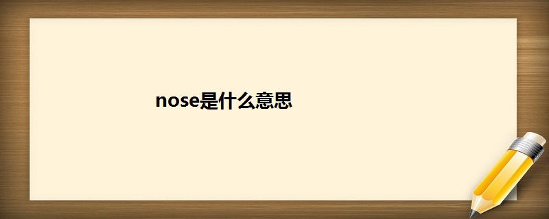 nose是什么意思