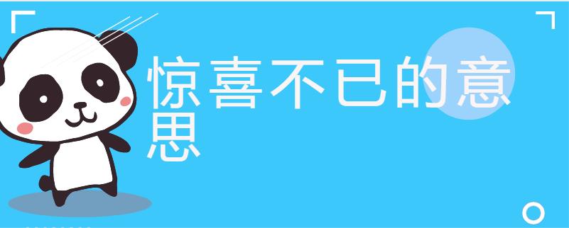 惊喜不已的意思