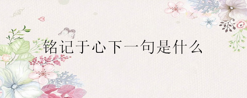铭记于心下一句是什么