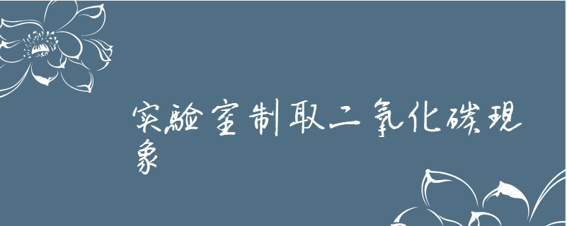 實驗室製取二氧化碳現象